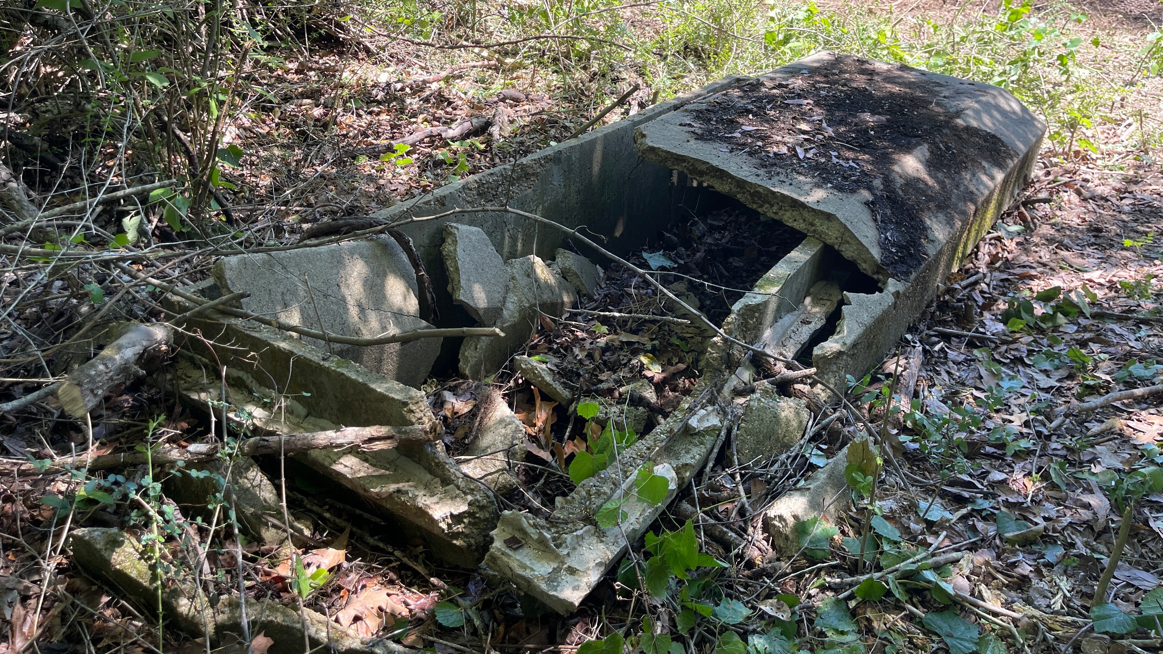 Woman fighting to save forgotten SWLA cemetery
