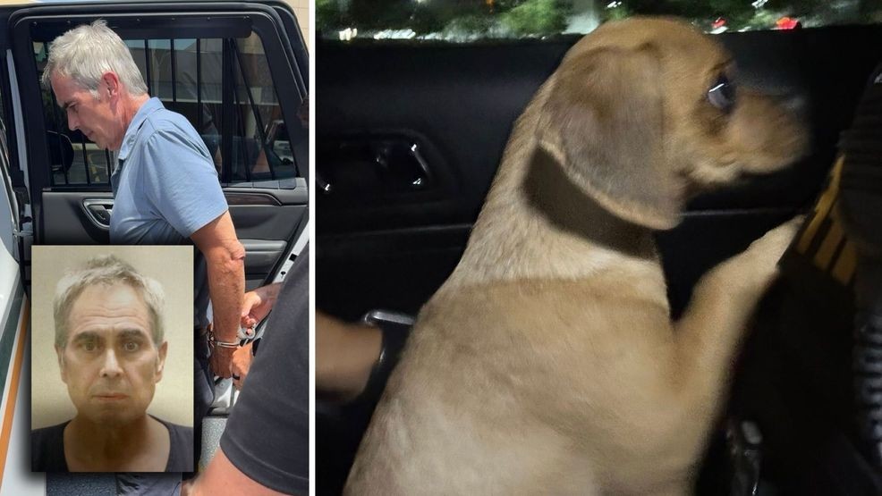 5-month-old puppy exposed to cocaine; owner charged with animal cruelty ...