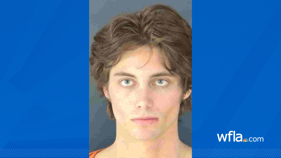 Influencer 'Hullo' charged with child pornography possession in ...