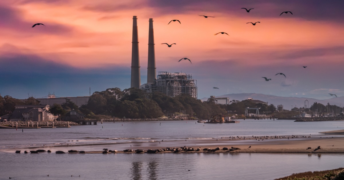 This Quirky Northern California Town Feels Like a Hidden World