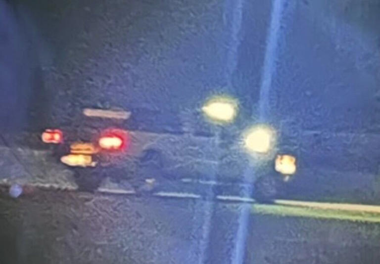 Dog injured after being dragged 600 yards by pickup truck in Rutherford ...