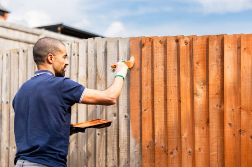 UK households painting garden fences risk £2,500 fine over neighbour law