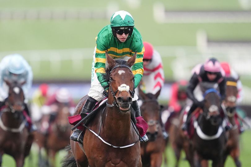 'He has a lovely profile for the Chester Cup' – Jason Heavey's horse ...