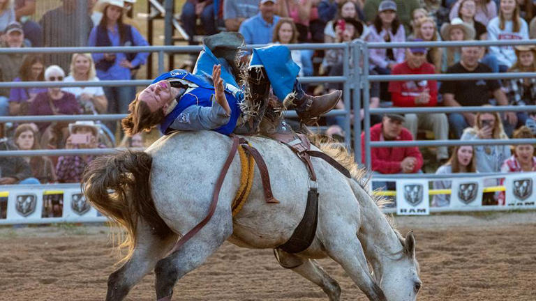 College rodeo and PBR are making history with a never-before-seen event