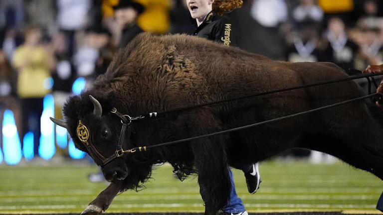 Ranking the 7 Ralphie mascots in Colorado football history on Ralphie ...