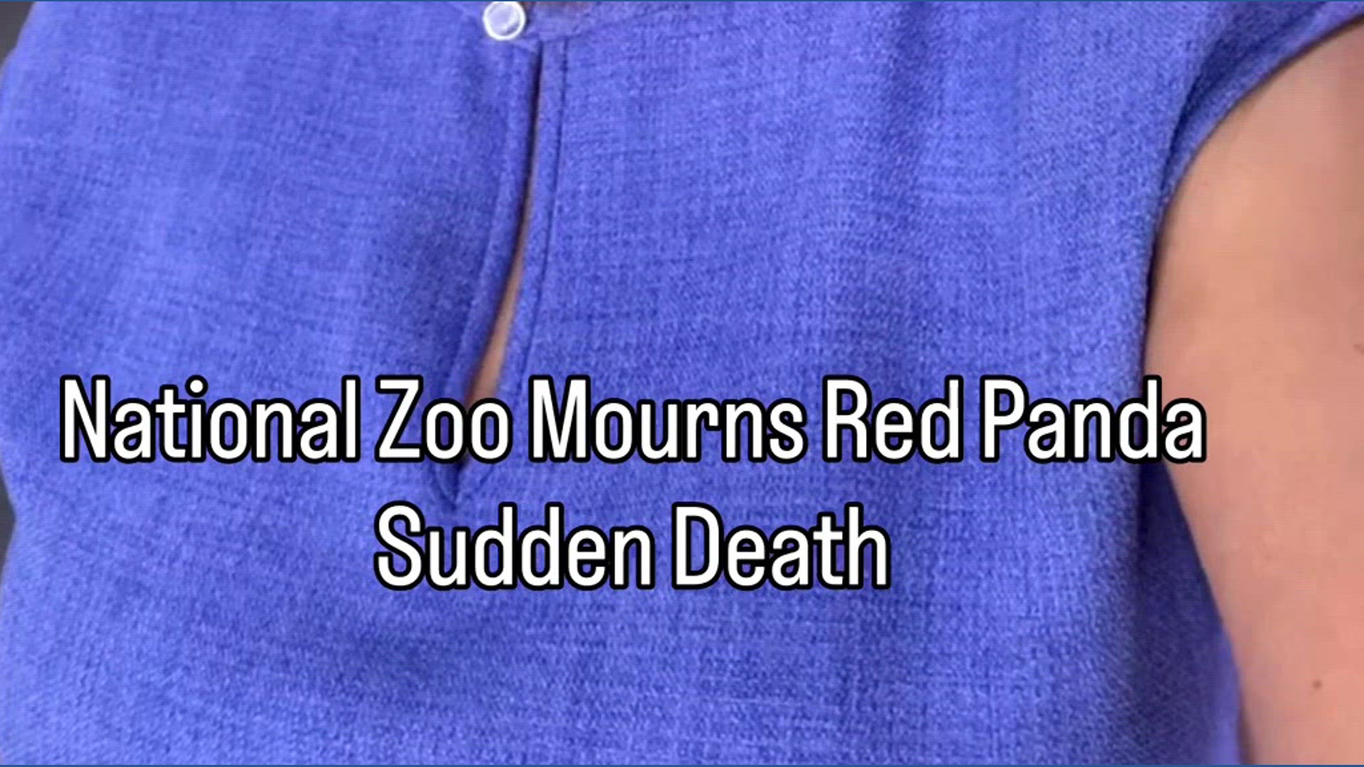 Smithsonian National Zoo mourns red panda death