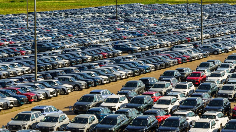 unsold cars sitting in a car dealer lot