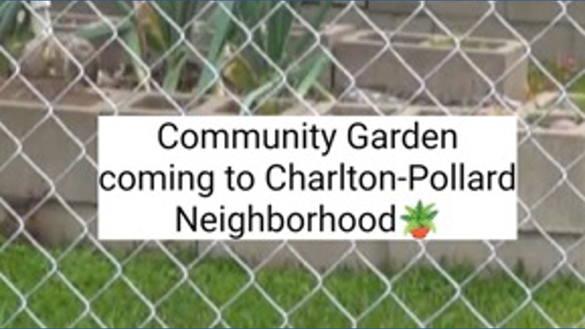 Beaumont community garden project aims to improve food access