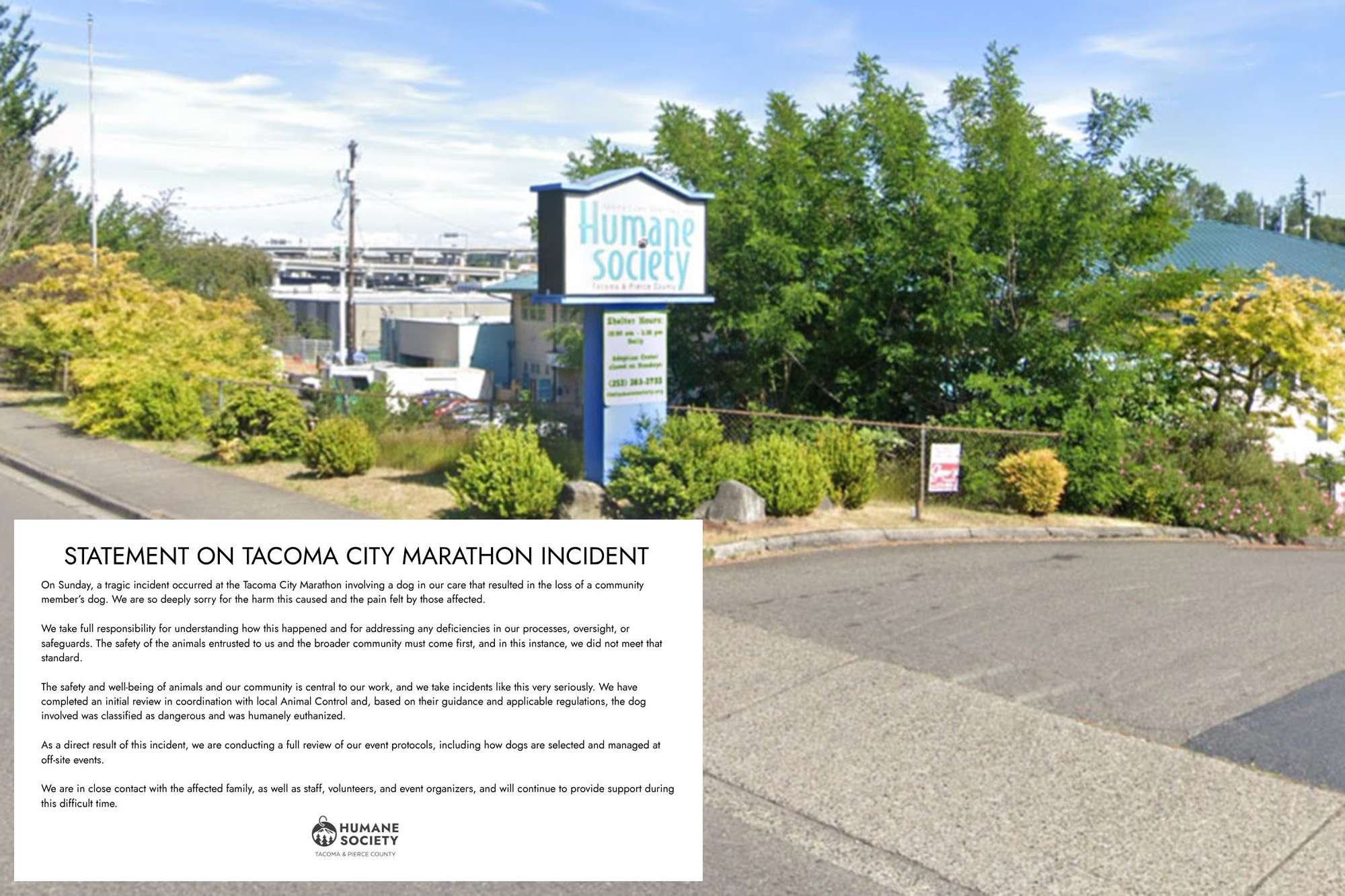Dog with Humane Society 'Adopt Me' vest fatally mauls other pooch at ...