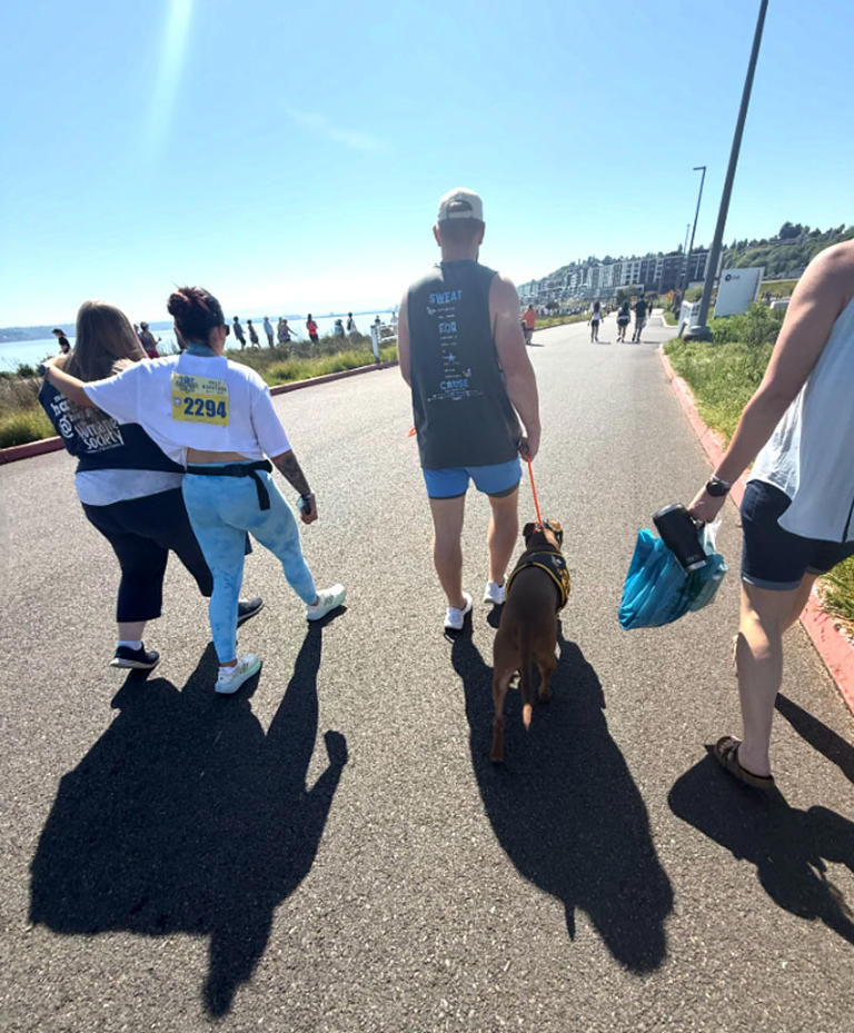 Dog with Humane Society 'Adopt Me' vest fatally mauls other pooch at ...