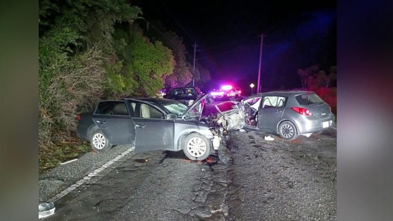 St. Pete man arrested in Seffner crash that killed teen, accused of ...