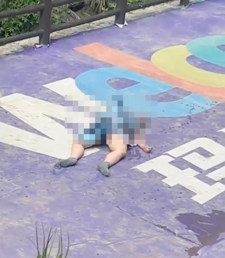 China tourist dies after cliff swing fall as safety rope was loose ...