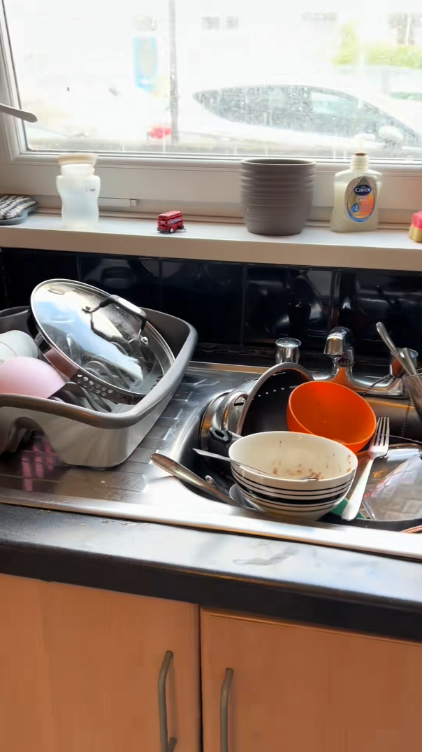 Satisfying cleaning reset for a fresh organized home