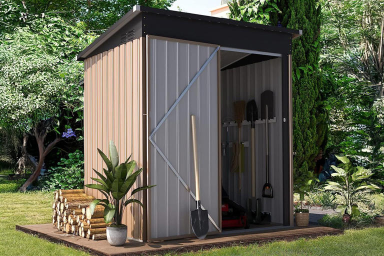 Wayfair's 'very spacious' storage sheds are up to 72% off—shop 9 picks ...