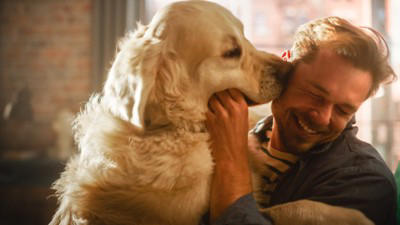 犬が『顔を舐めてくる』心理６選 やめてほしい場合に飼い主がすべき対処法とは？