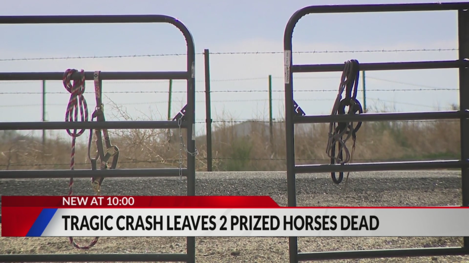 Neighbors raise safety concerns after semi crash kills 2 horses in ...