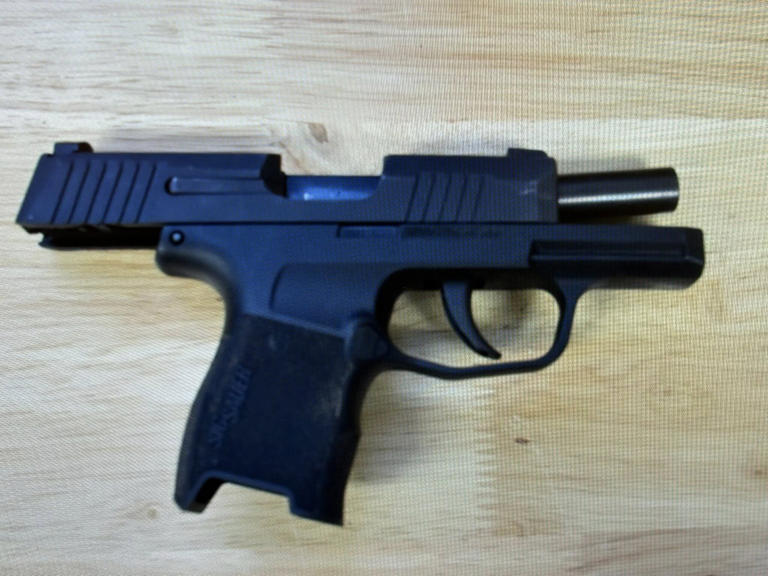 2 juveniles to face formal charges following stolen firearm, property ...