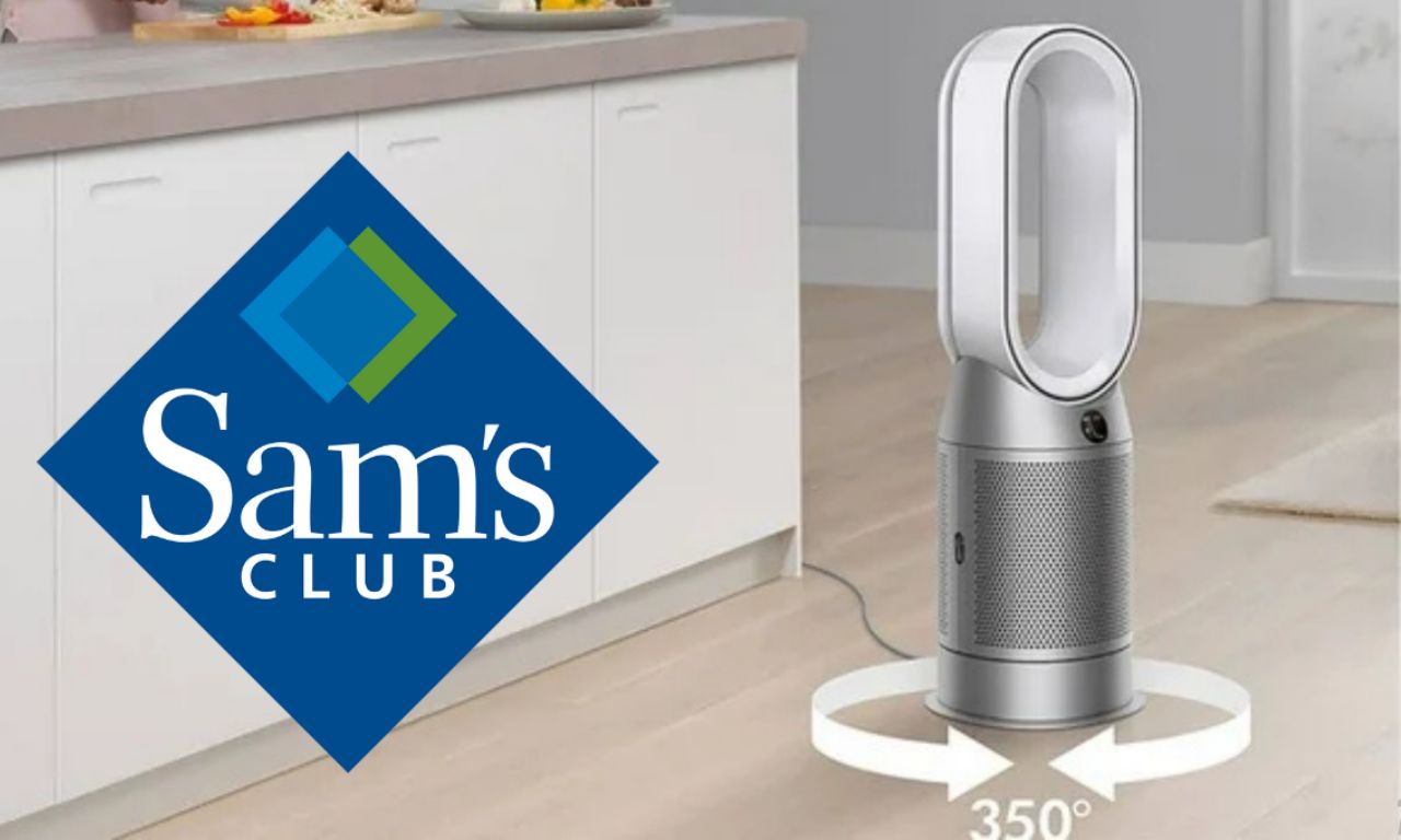 Sam’s Club liquida purificador Dyson Hot + Cool con descuento: purifica ...