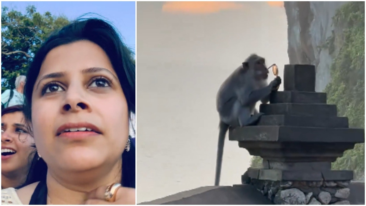 Pune woman shares horrifying ordeal as monkey snatches sunglasses in ...