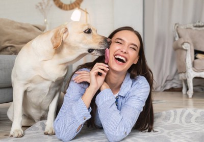 犬が『顔を舐めてくる』心理６選 やめてほしい場合に飼い主がすべき対処法とは？
