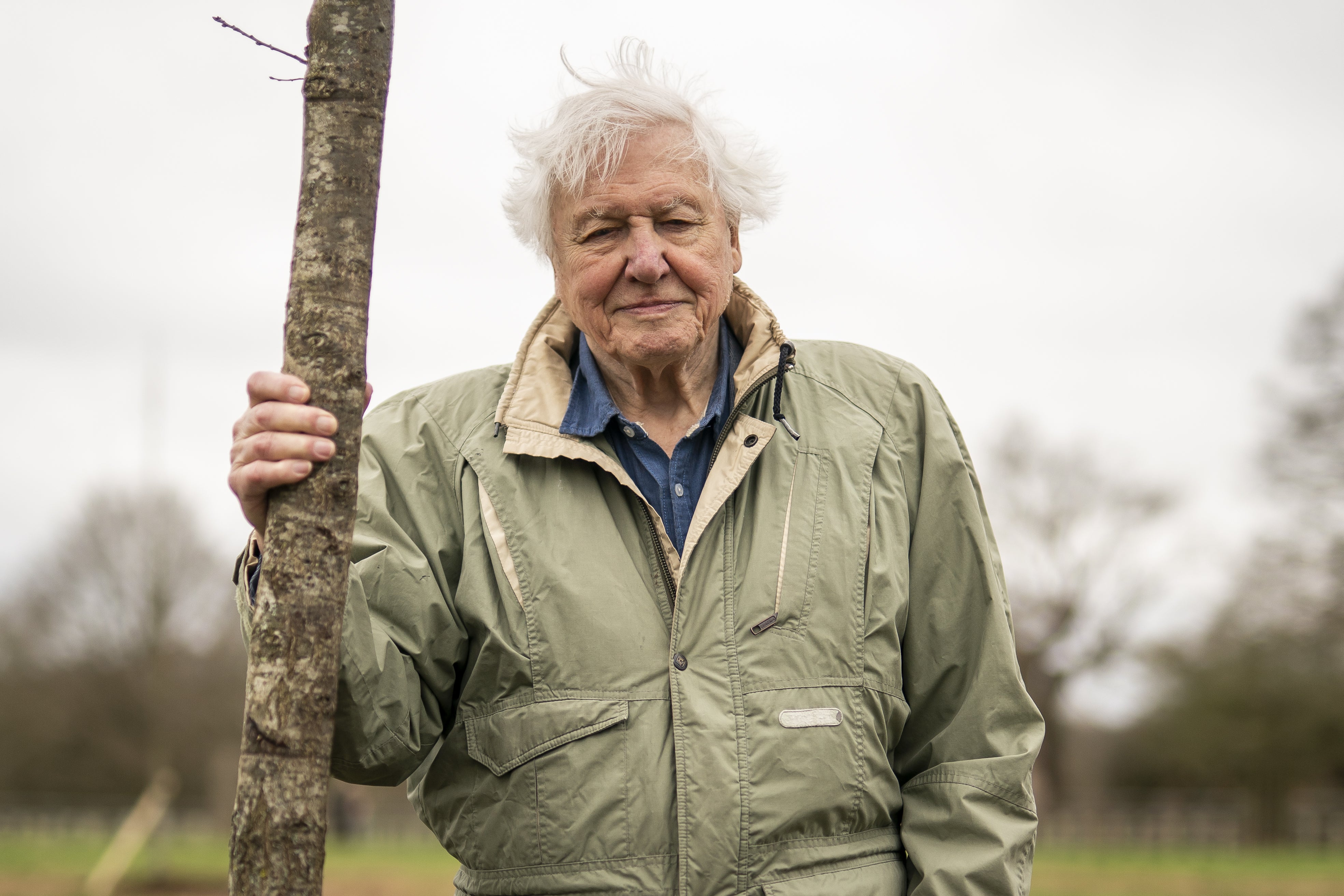 Sir David said: ‘I had rather thought that I would celebrate my 100th birthday quietly, but it seems that many of you have had other ideas’