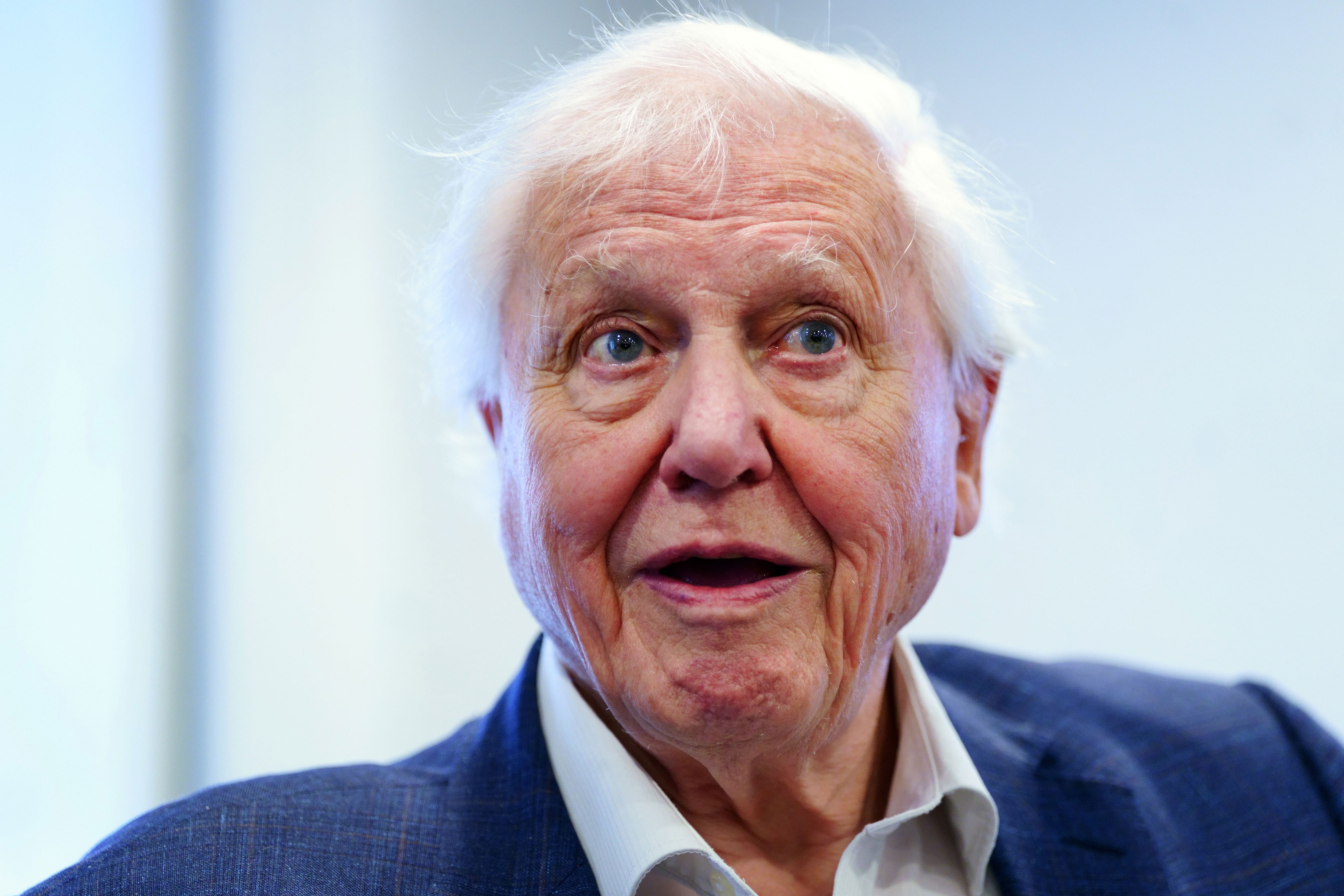 Sir David Attenborough was inundated with birthday messages (Victoria Jones/PA)