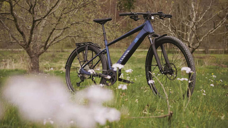 Canyon Pathlite:ONfly 8 im Test: So leicht geht E-Bike-Trekking heute!
