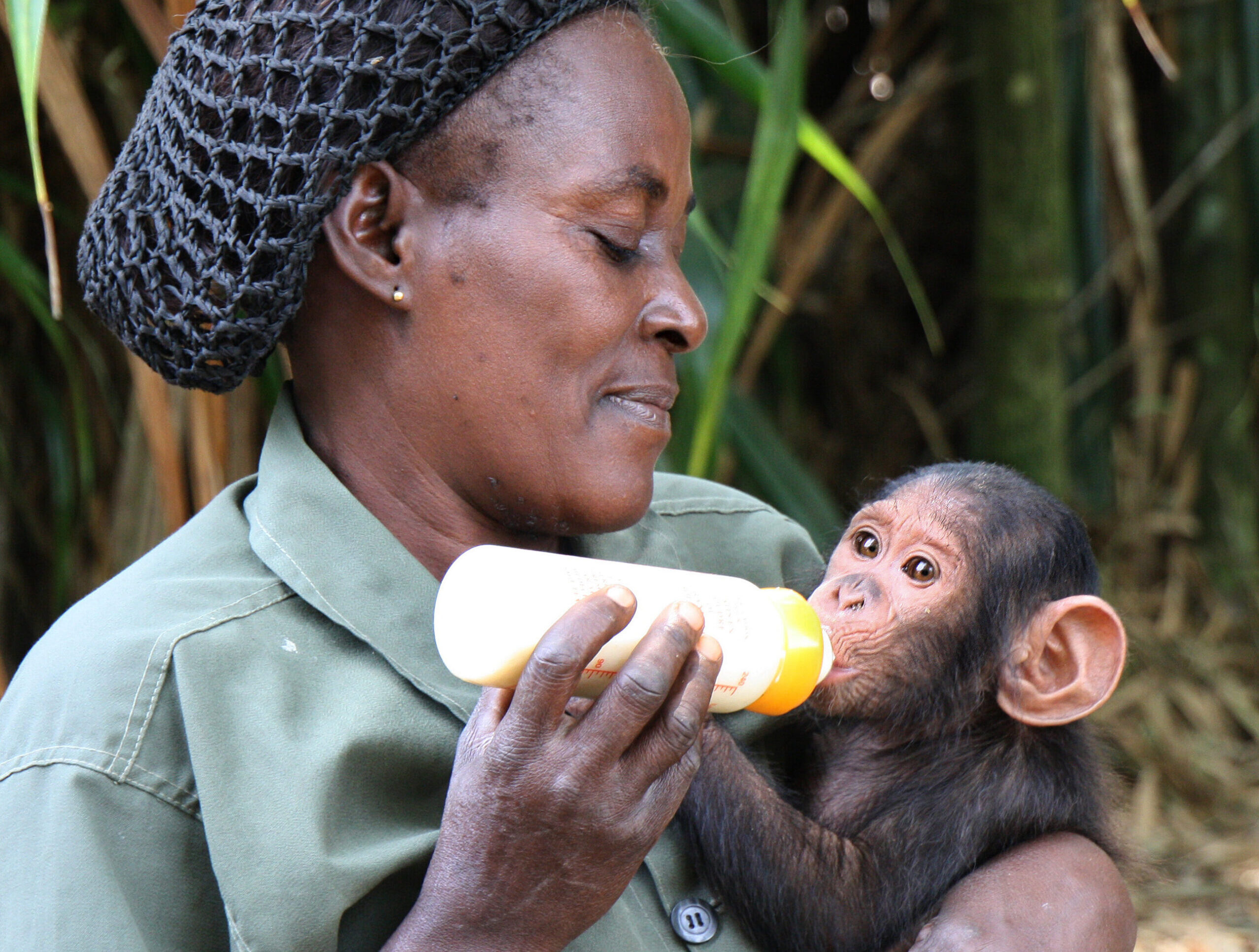 Hope is rooted in action: Interview with Jane Goodall’s grandson Merlin ...