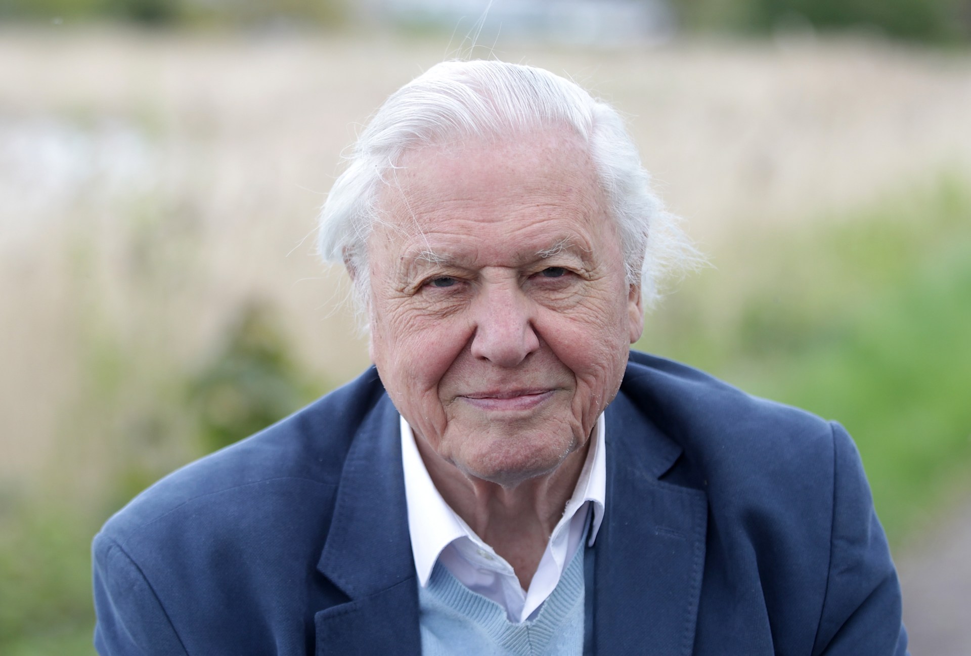 Don't ever call David Attenborough a national treasure – even if he is one
