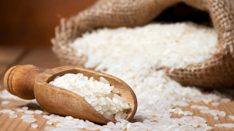 Which country is the largest producer of rice in Asia?