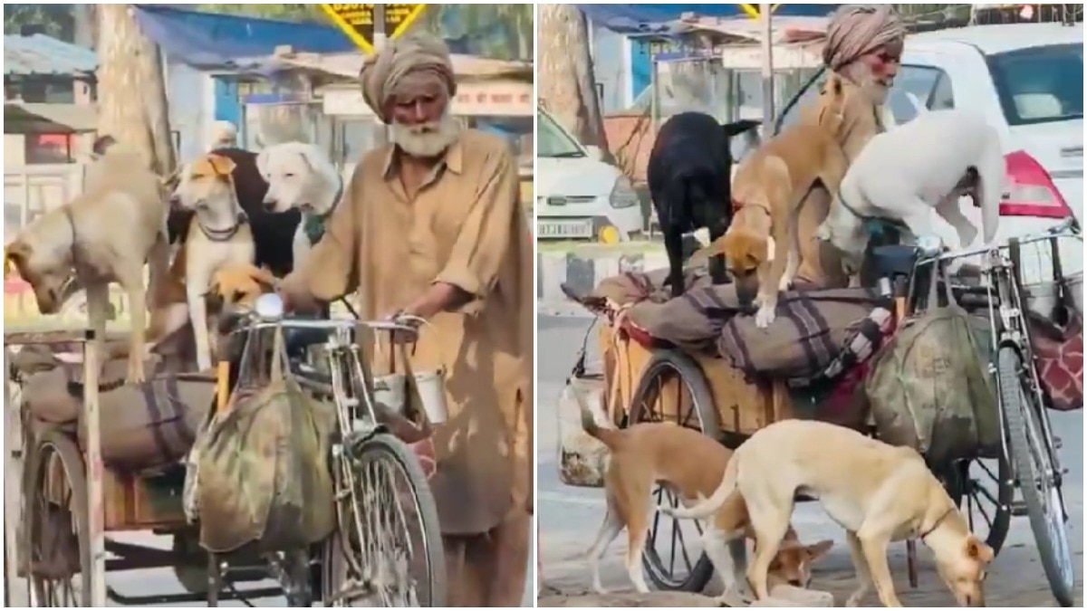 Elderly rickshaw driver gives ride to 5 stray dogs, video will leave ...