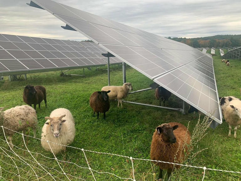 Massive solar farm proposal promises 150 MW of clean energy