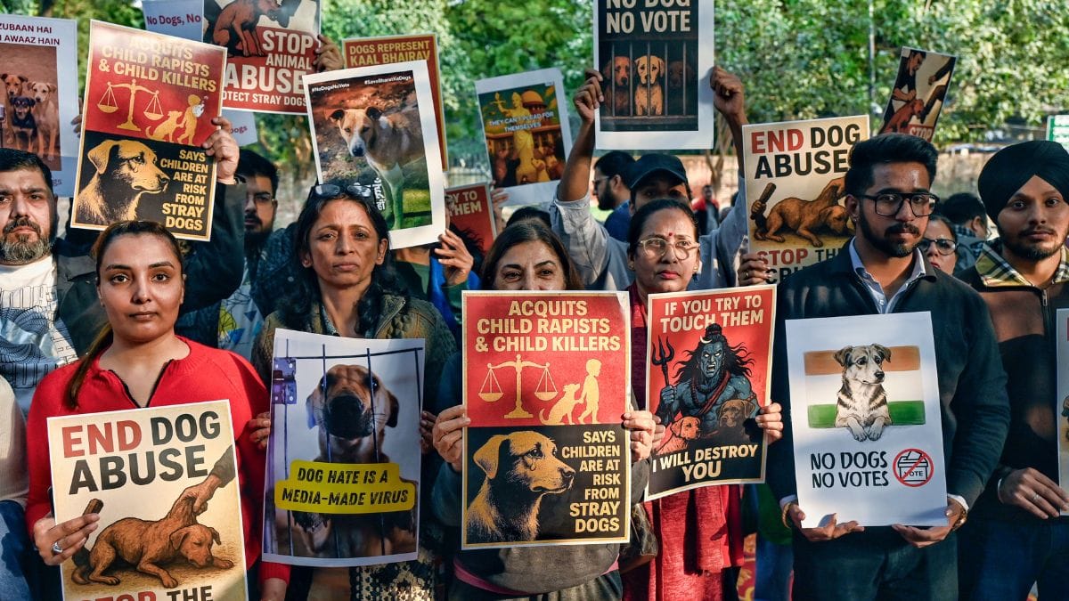 NCRB records animal cruelty for the first time in India’s crime ...