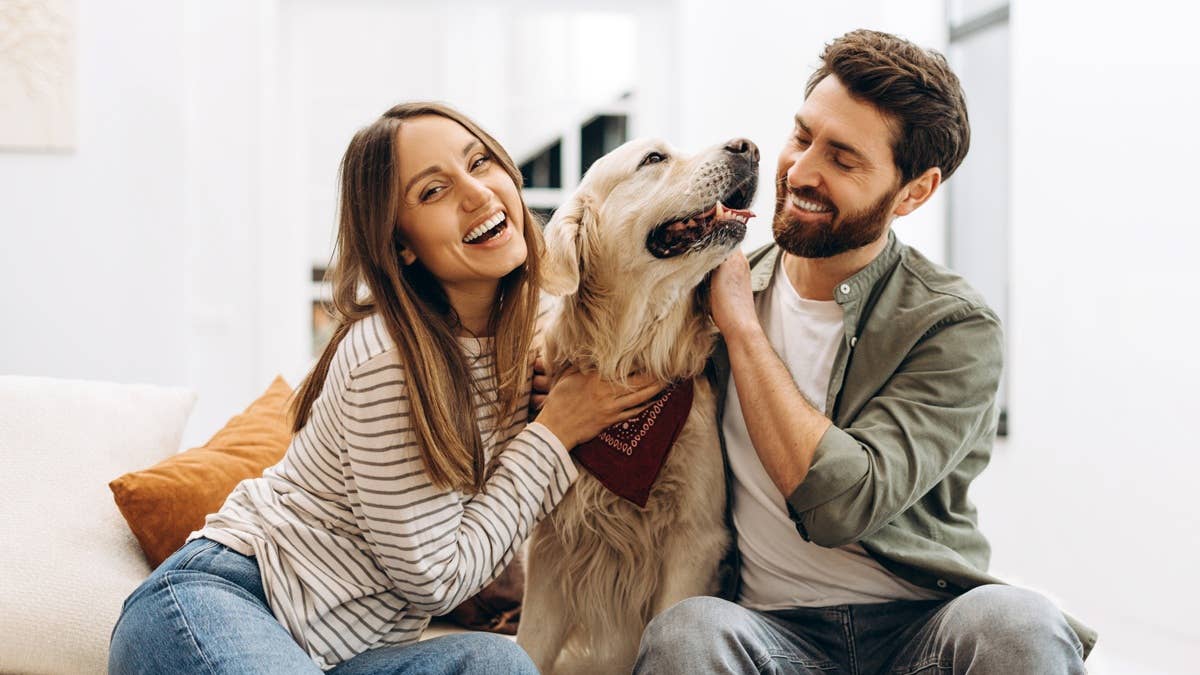 7 signs you’re your dog’s favorite human