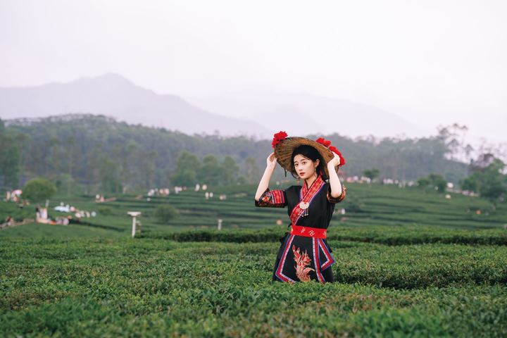 春日限定!穿汉服去茶园拍一组诗意大片