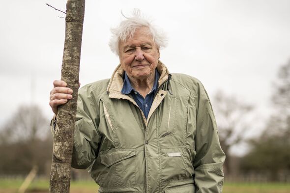 David Attenborough 'distraught' over wife's death as he recalls ...