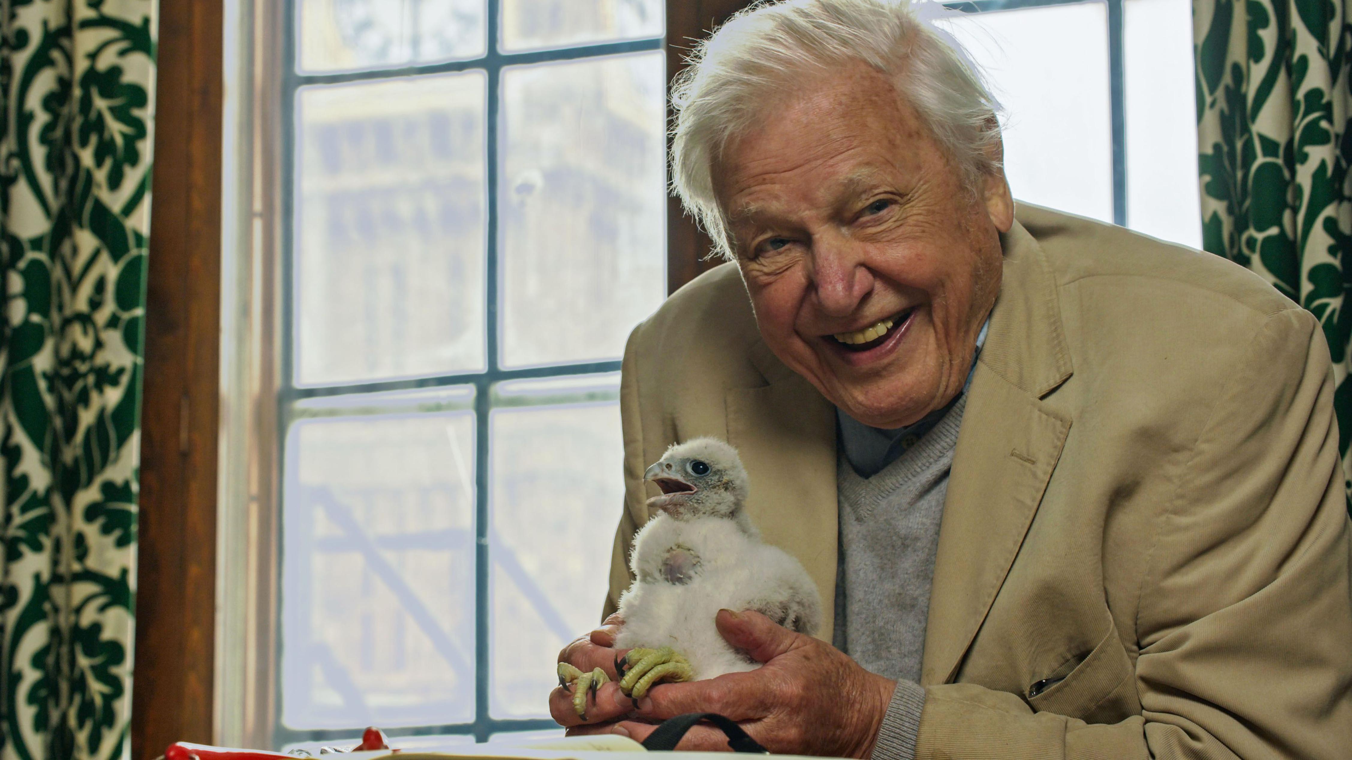 David Attenborough's love of London marked on centenary