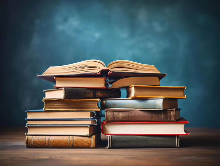 How to protect your kids’ books from termites during summer holidays