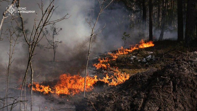 Massive wildfire erupts in Chornobyl exclusion zone, spreading fast