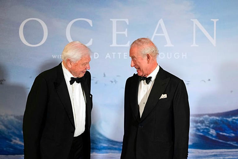 Una vida en imágenes: David Attenborough cumple 100 años
