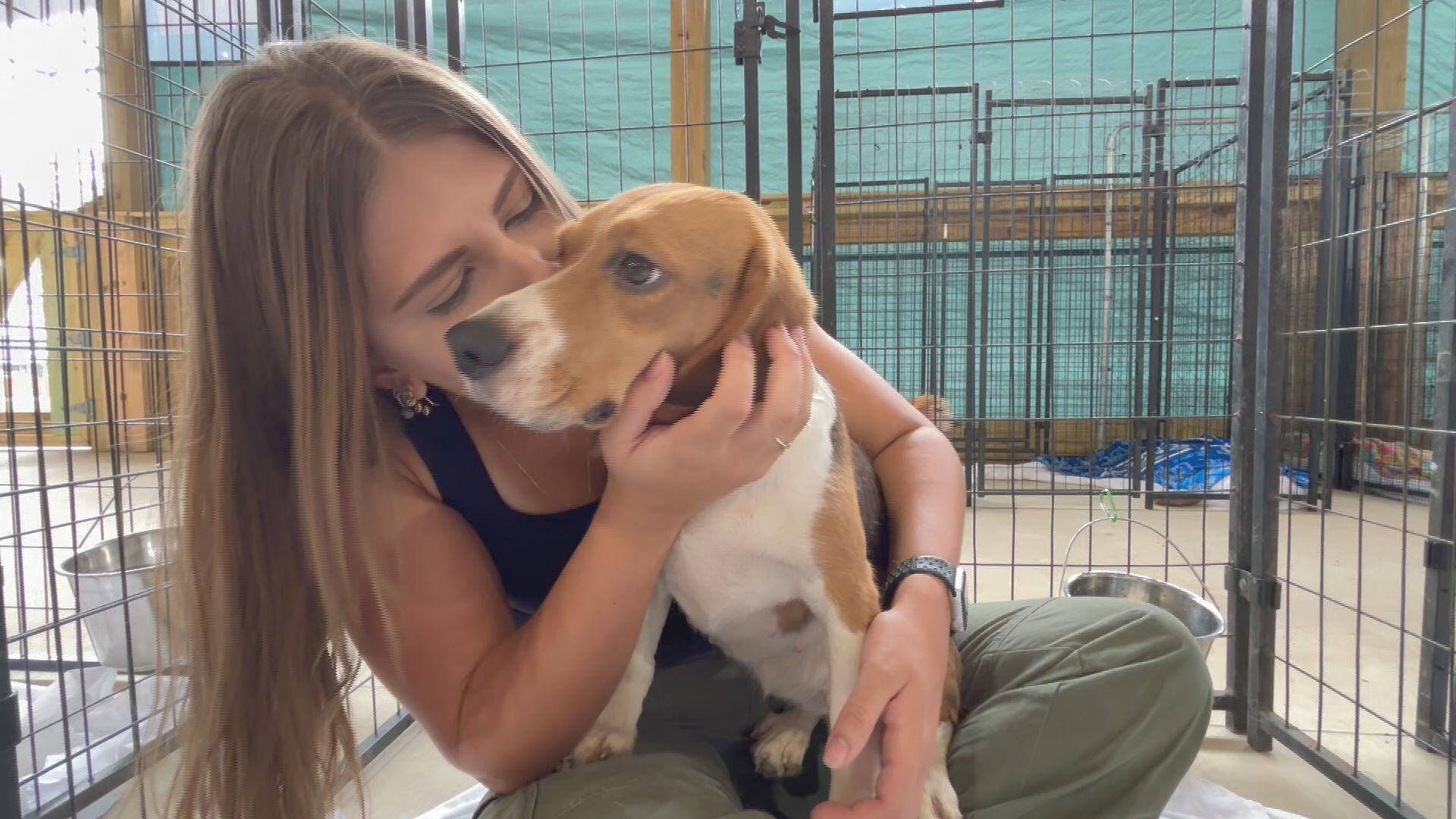 Rescued beagles from Wisconsin research facility make it to the Panhandle