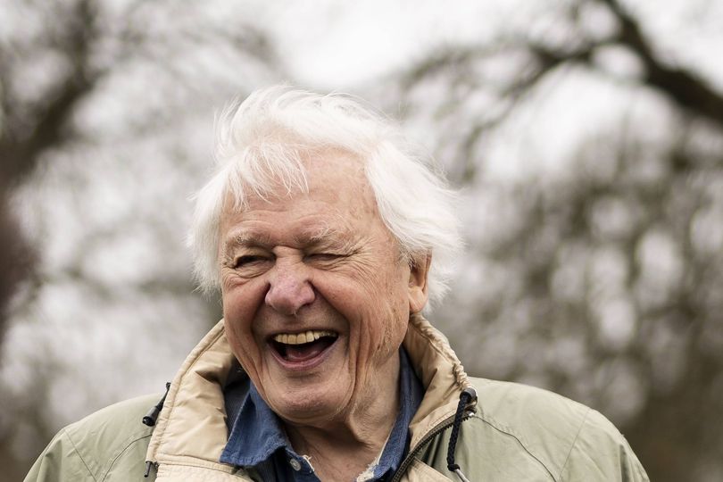 Where does Sir David Attenborough live, who was his wife and does he ...