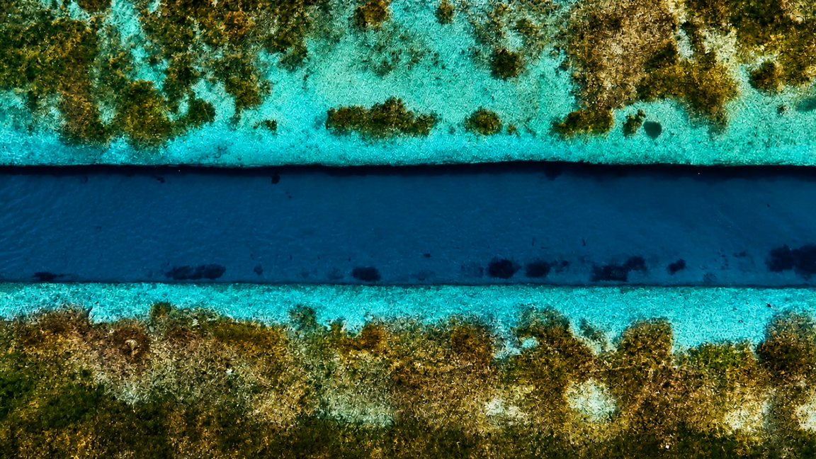 Natural ocean texture with coral reef and blue waters