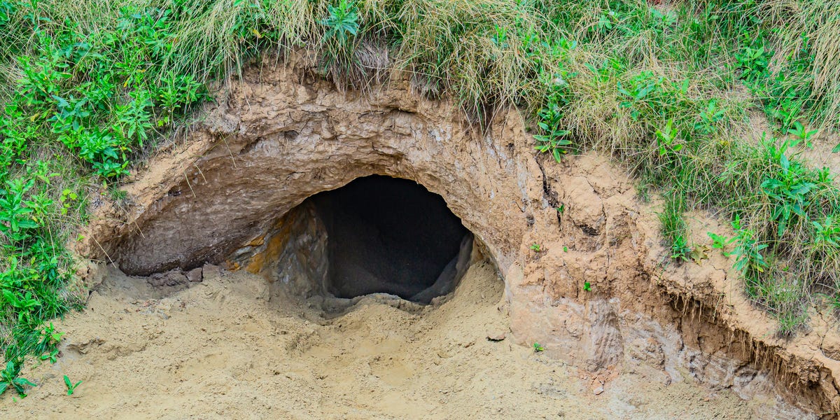 Mom Digs Tunnel to Rescue Son From Prison