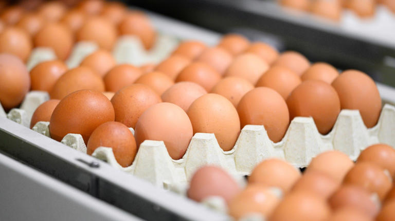 Which fast food chains use real eggs?