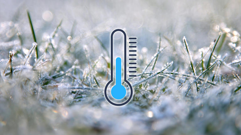 Le froid revient en force et pourrait laisser des traces