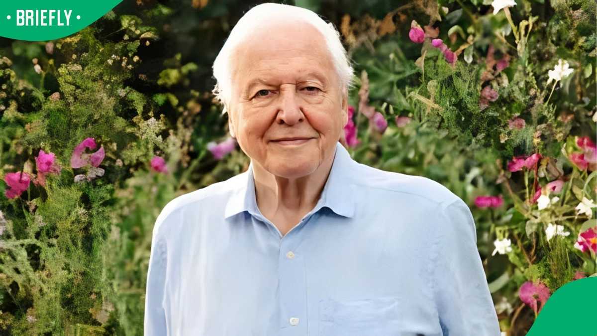 David Attenborough turns 100 and thanks the world for birthday messages ...