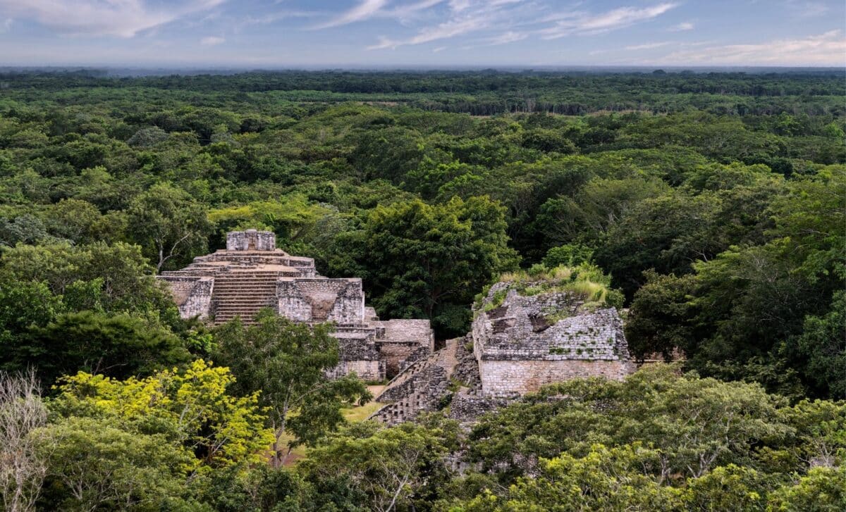 They dug into a jungle mound in Mexico and found an ancient Maya ...