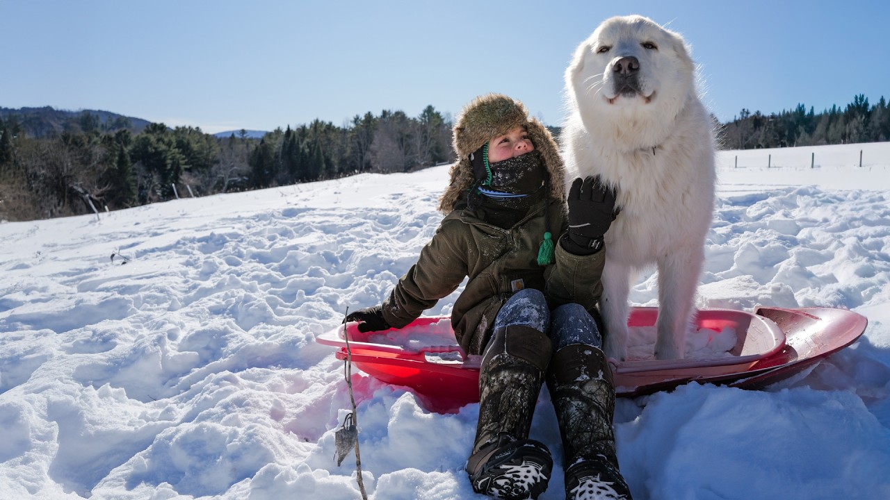 Snow day prep: Farm life meets the big stage
