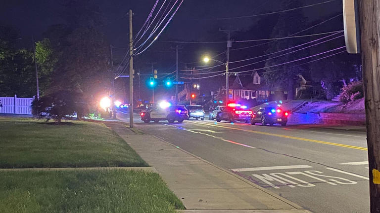 Pittsburgh-area man charged with homicide after violent crime spree